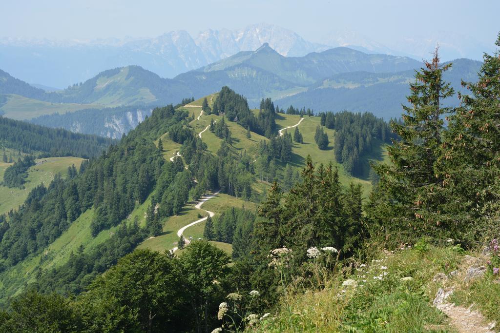 Appart Weisse Urlauben Am Wolfgangsee Sankt Gilgen Extérieur photo